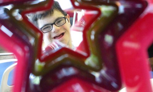 star cookie cutter