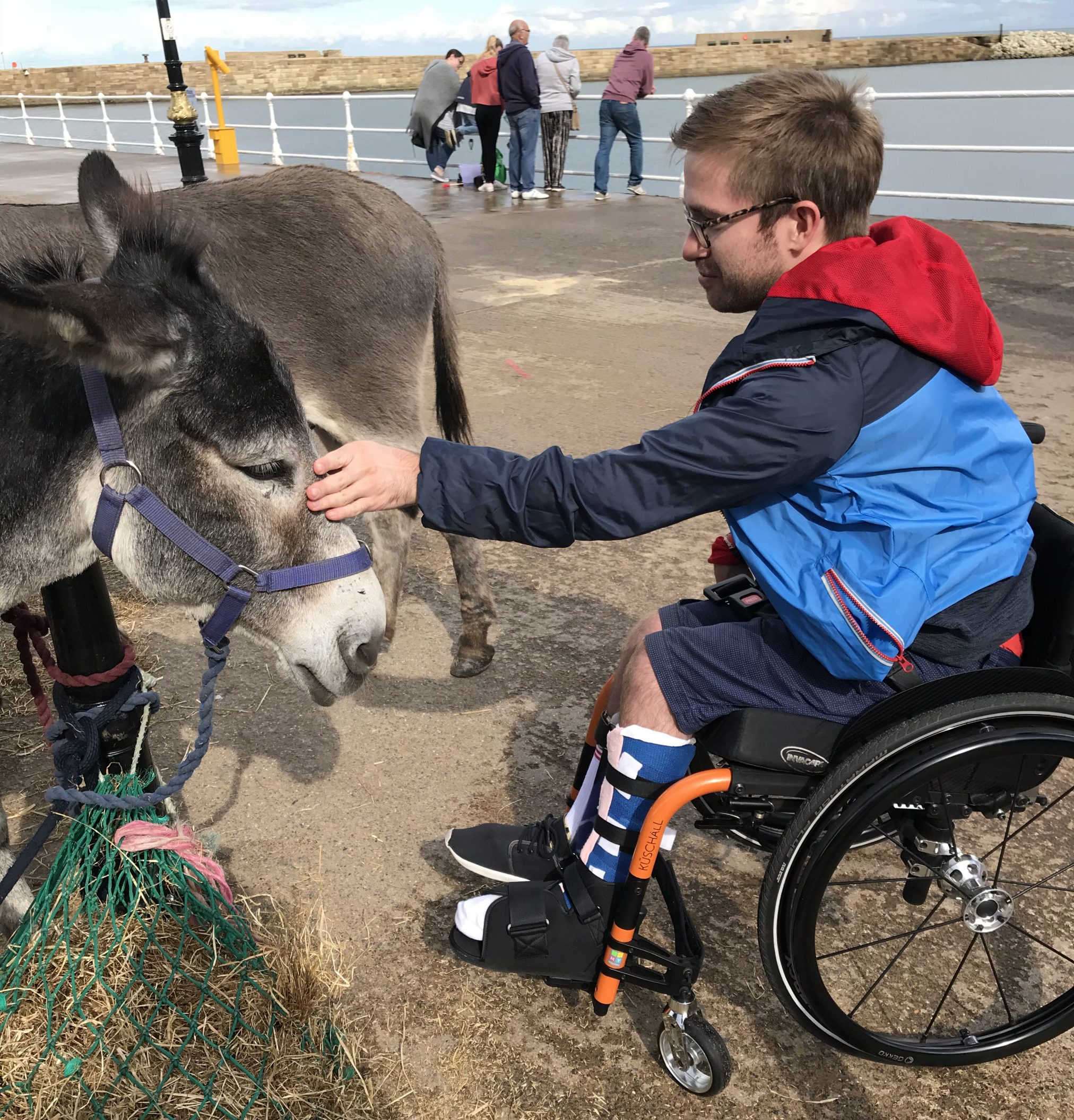Jamie Green in his new wheelchair in Bridlington, petting donkeys on the seafront