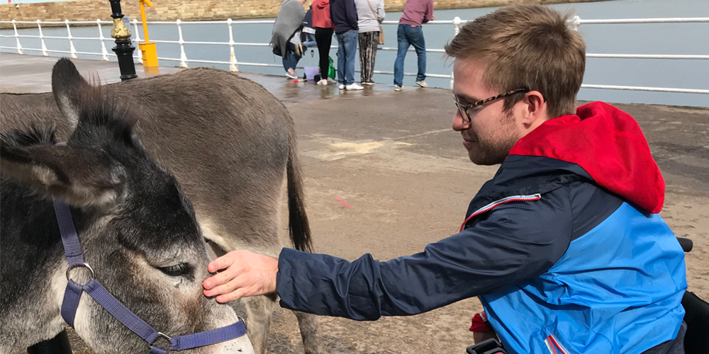Jamie Green in his new wheelchair in Bridlington, petting donkeys on the seafront