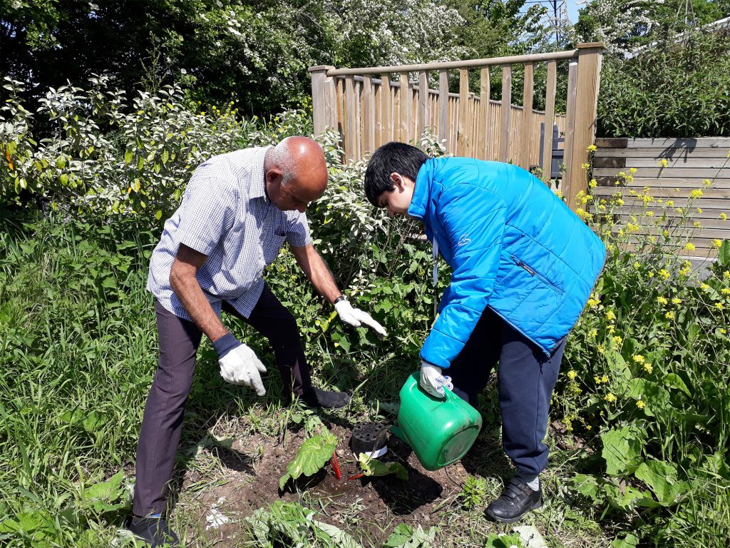 Jay and Andreas watering plants